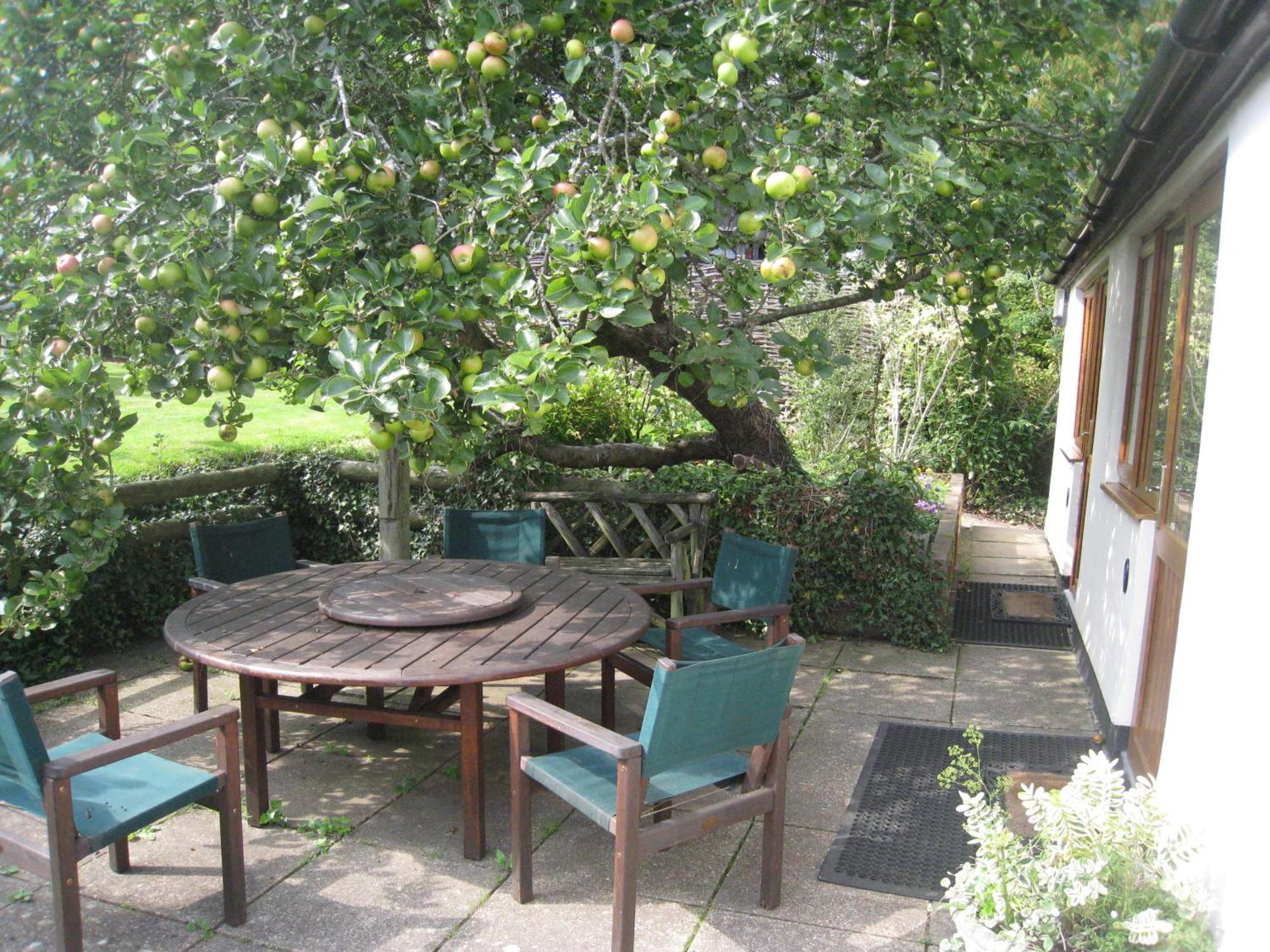 Newton Farmhouse Whiteparish Ngoại thất bức ảnh
